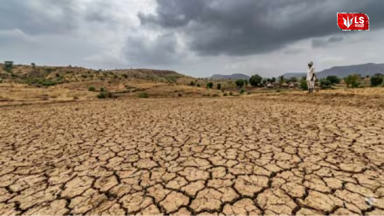below average rainfall monsoon