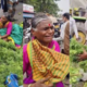 BEED NEWS