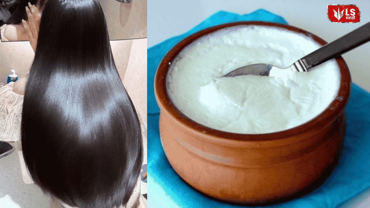 Curd for Hair Care