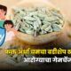 Fennel Seeds Benefits 80x80