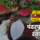 Muktabai Palkhi Begins Ashadhi Wari 2026 80x80