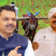 Farm Loan Waiver