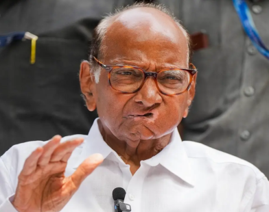 Sharad Pawar NCP Congress Merger
