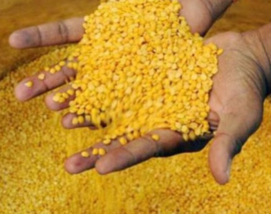 Import of Pulses from Abroad