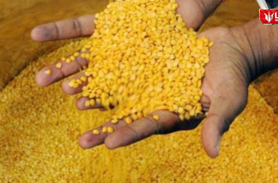 Import of Pulses from Abroad