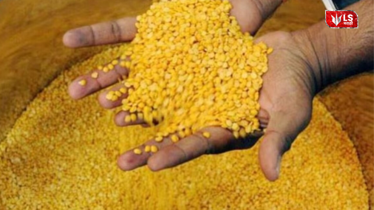 Import of Pulses from Abroad