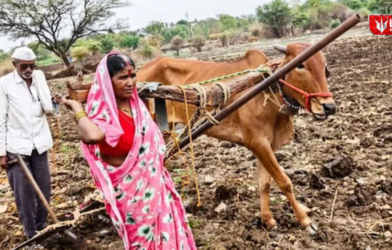 Ladki Bahin Scheme While Farmers Suffer