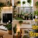 Lok Shevay Marathi News (लोकशिवाय मराठी बातम्या) - Best Indoor Plants for a 1 BHK Home Best Indoor Plants for a 1 BHK Home