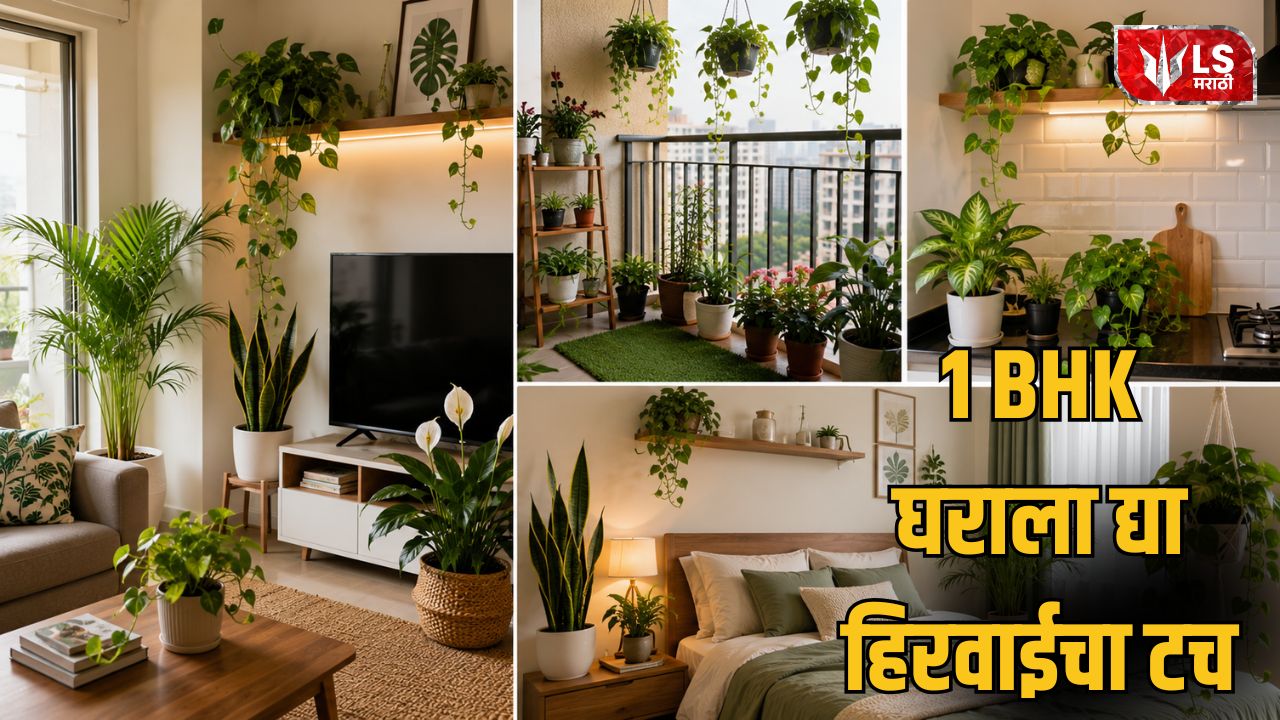 Lok Shevay Marathi News (लोकशिवाय मराठी बातम्या) - Best Indoor Plants for a 1 BHK Home Best Indoor Plants for a 1 BHK Home