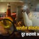 Lok Shevay Marathi News (लोकशिवाय मराठी बातम्या) - Cockroaches Cockroaches