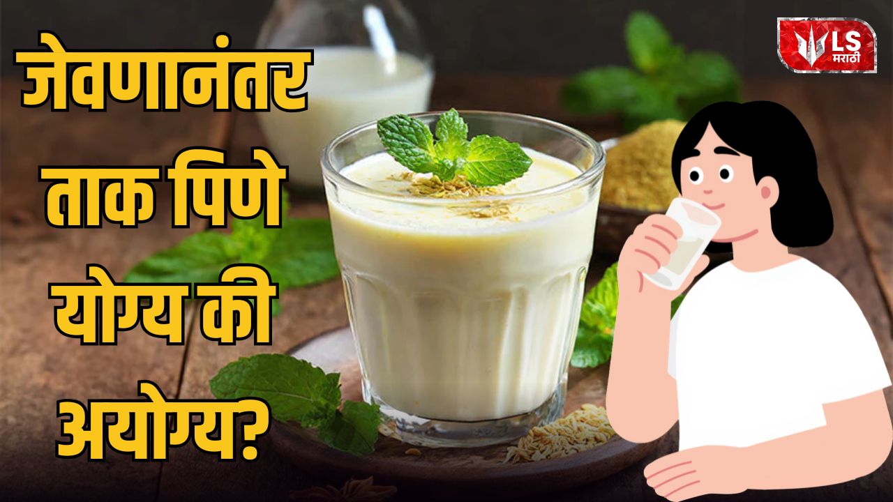 Lok Shevay Marathi News (लोकशिवाय मराठी बातम्या) - Drinking Buttermilk After Meals Drinking Buttermilk After Meals
