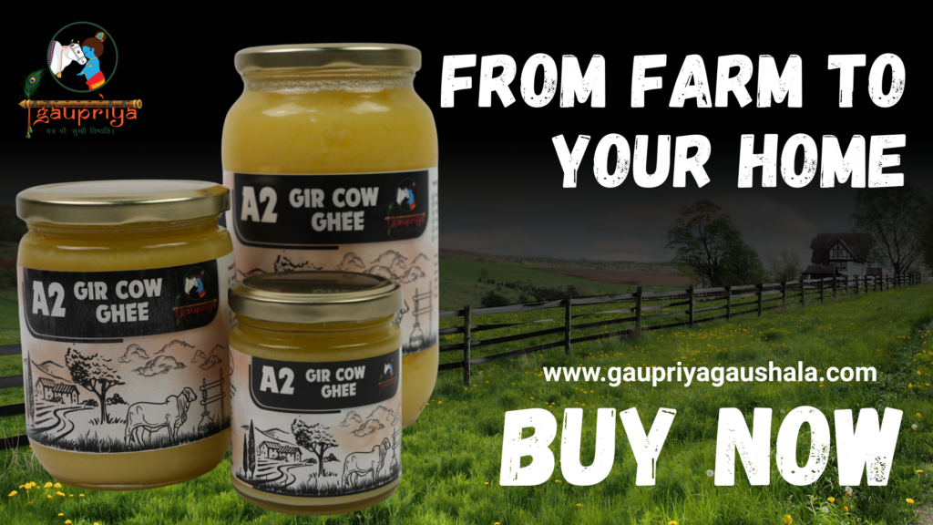 GHEE WEBSITE BANNER
