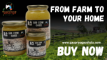 GHEE WEBSITE BANNER