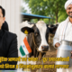 Monika Shinde Website 1 80x80