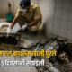 Monika Shinde Website 3 80x80