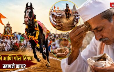 Lok Shevay Marathi News (लोकशिवाय मराठी बातम्या) - Ringan Sohala Ringan Sohala