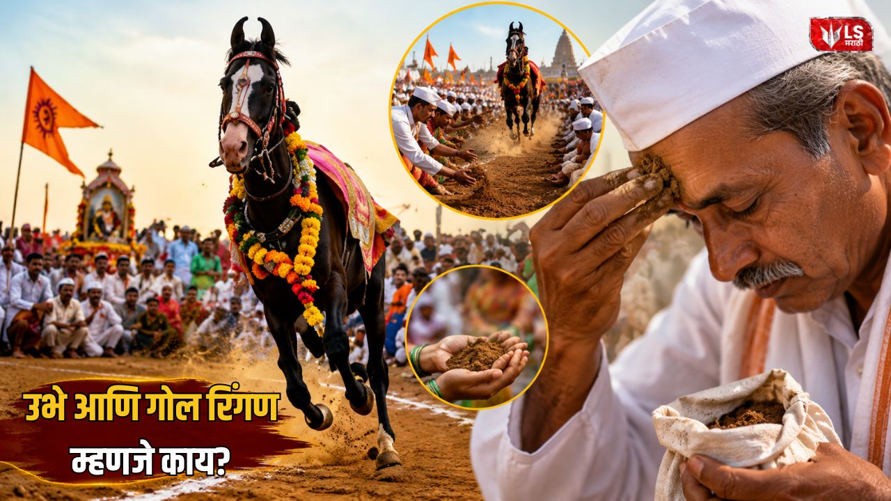Lok Shevay Marathi News (लोकशिवाय मराठी बातम्या) - Ringan Sohala Ringan Sohala