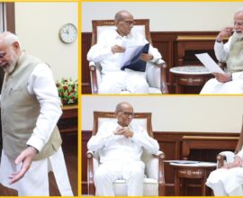 Sharad Pawar Meets Modi