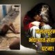 Bhandara Crime