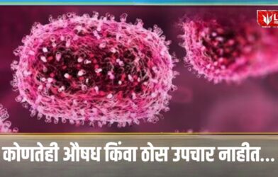Lok Shevay Marathi News (लोकशिवाय मराठी बातम्या) - Chandipura Virus Chandipura Virus