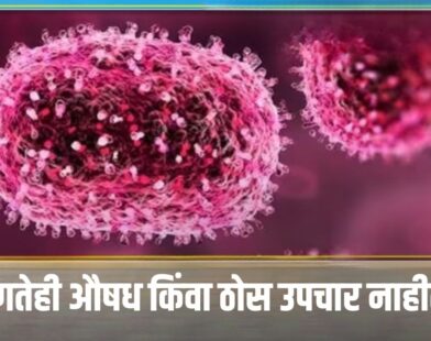 Chandipura Virus