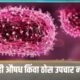 Lok Shevay Marathi News (लोकशिवाय मराठी बातम्या) - Chandipura Virus Chandipura Virus