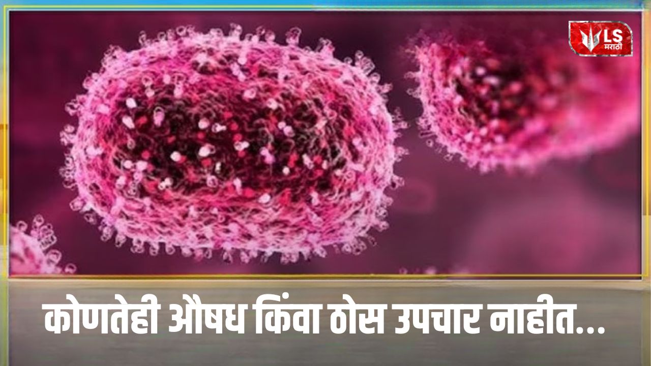 Lok Shevay Marathi News (लोकशिवाय मराठी बातम्या) - Chandipura Virus Chandipura Virus