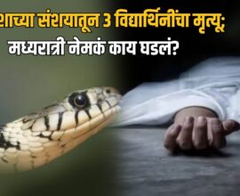 Gadchiroli