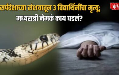 Lok Shevay Marathi News (लोकशिवाय मराठी बातम्या) - Gadchiroli Gadchiroli