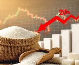 Sugar Price Today