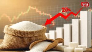 Sugar Price Today