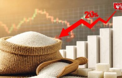 Sugar Price Today