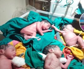 Twin Babys