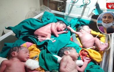 Lok Shevay Marathi News (लोकशिवाय मराठी बातम्या) - Harshad website 29 Twin Babys