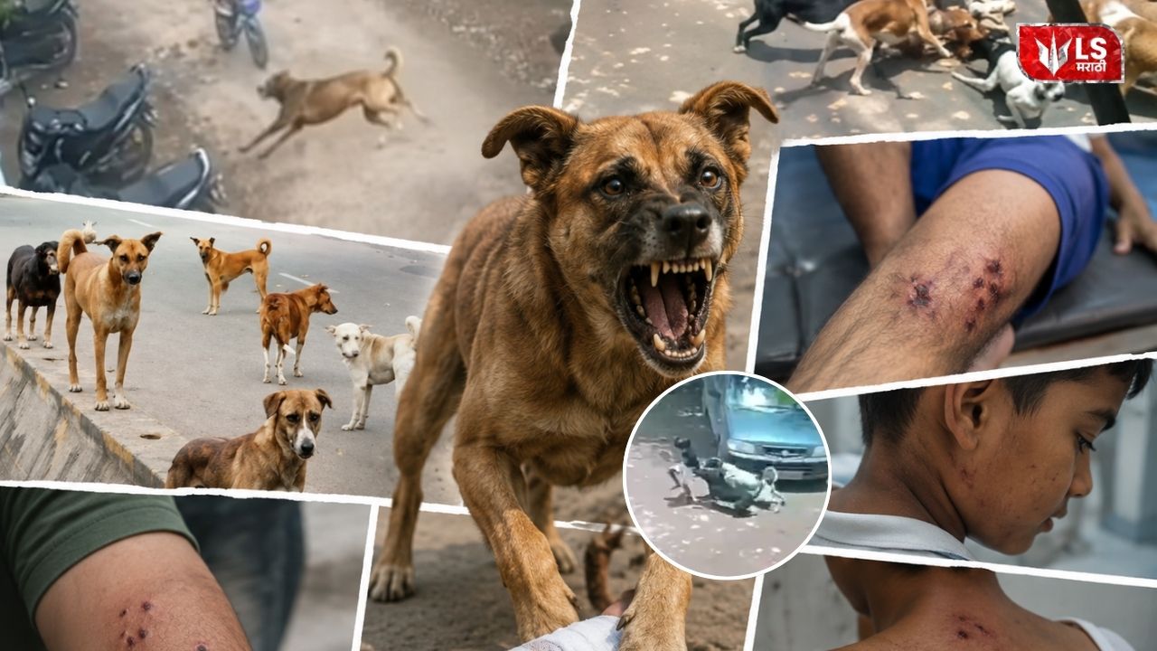 Lok Shevay Marathi News (लोकशिवाय मराठी बातम्या) - Harshad website 46 Dog Attack