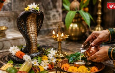 Lok Shevay Marathi News (लोकशिवाय मराठी बातम्या) - Harshad website 77 Nag Panchami rules