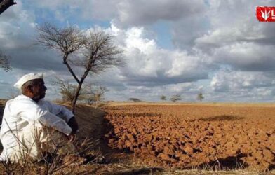 Marathwada soybean crop