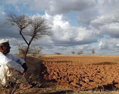 Marathwada soybean crop