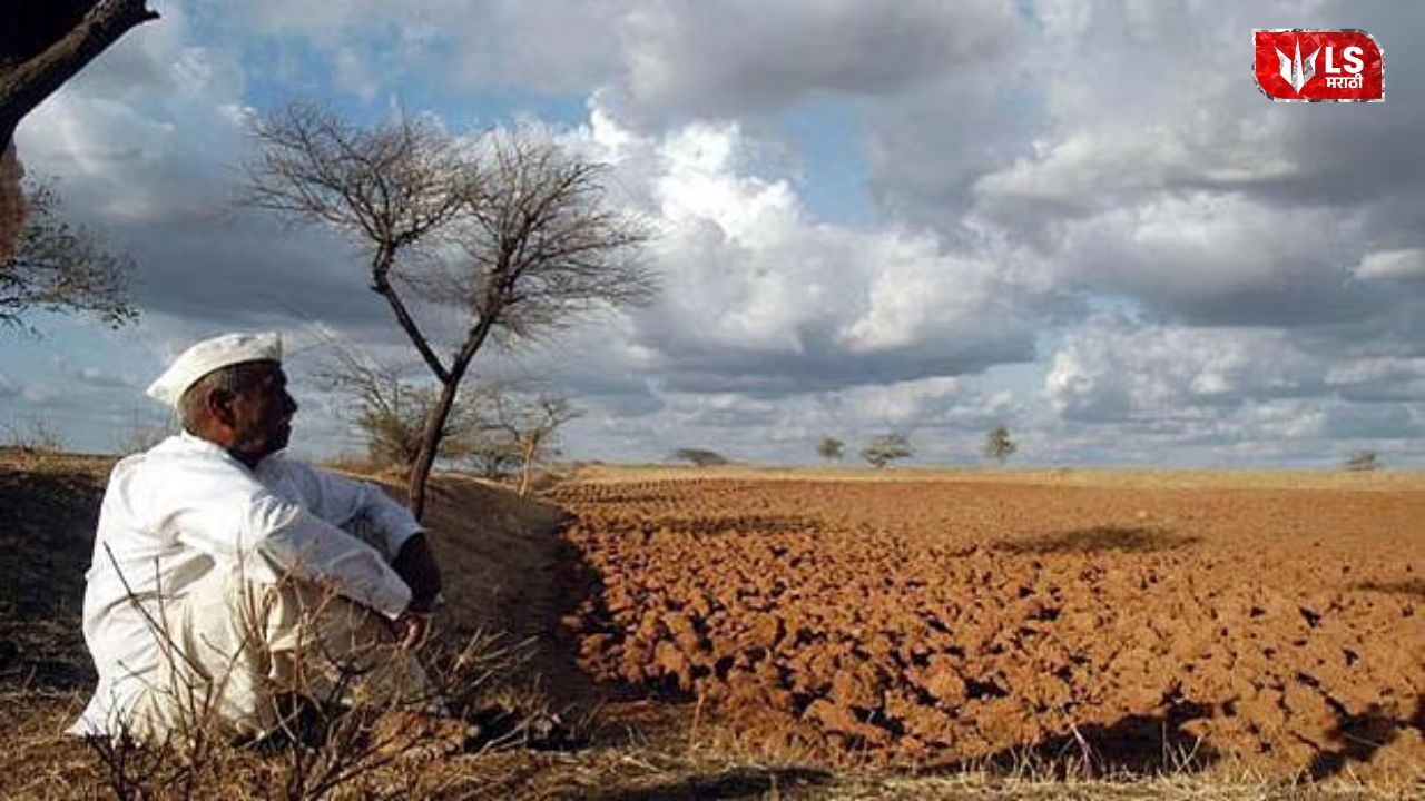 Marathwada soybean crop