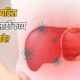 Lok Shevay Marathi News (लोकशिवाय मराठी बातम्या) - Hepatitis in Monsoon Hepatitis in Monsoon