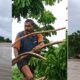 Jalgaon Flood