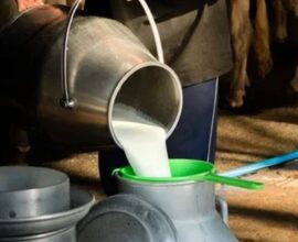 Mumbai Milk Price Hike