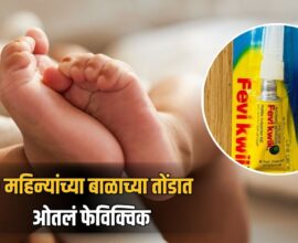 Pune Lohgaon Crime