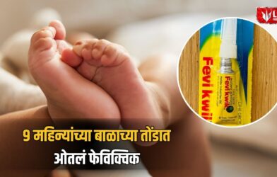 Pune Lohgaon Crime