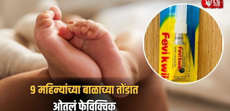 Pune Lohgaon Crime