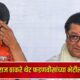 Lok Shevay Marathi News (लोकशिवाय मराठी बातम्या) - Raj Thackeray 2 Raj Thackeray