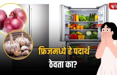 Lok Shevay Marathi News (लोकशिवाय मराठी बातम्या) - Refrigerator Tips Refrigerator Tips