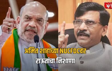 Lok Shevay Marathi News (लोकशिवाय मराठी बातम्या) - Sanjay Raut 3 Sanjay Raut