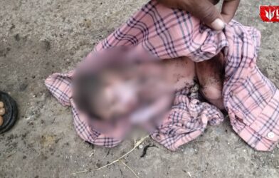 Lok Shevay Marathi News (लोकशिवाय मराठी बातम्या) - Soygaon Newborn Baby Abandoned Soygaon Newborn Baby Abandoned