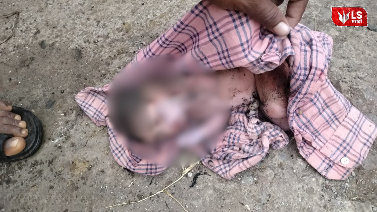Lok Shevay Marathi News (लोकशिवाय मराठी बातम्या) - Soygaon Newborn Baby Abandoned Soygaon Newborn Baby Abandoned